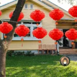 Chinese Red Paper Lantern with Tassels